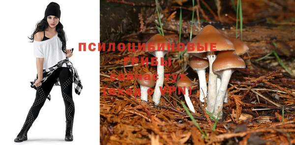 бутират Богородицк