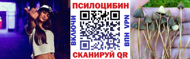 Галлюциногенные грибы MAGIC MUSHROOMS  Гусь-Хрустальный 